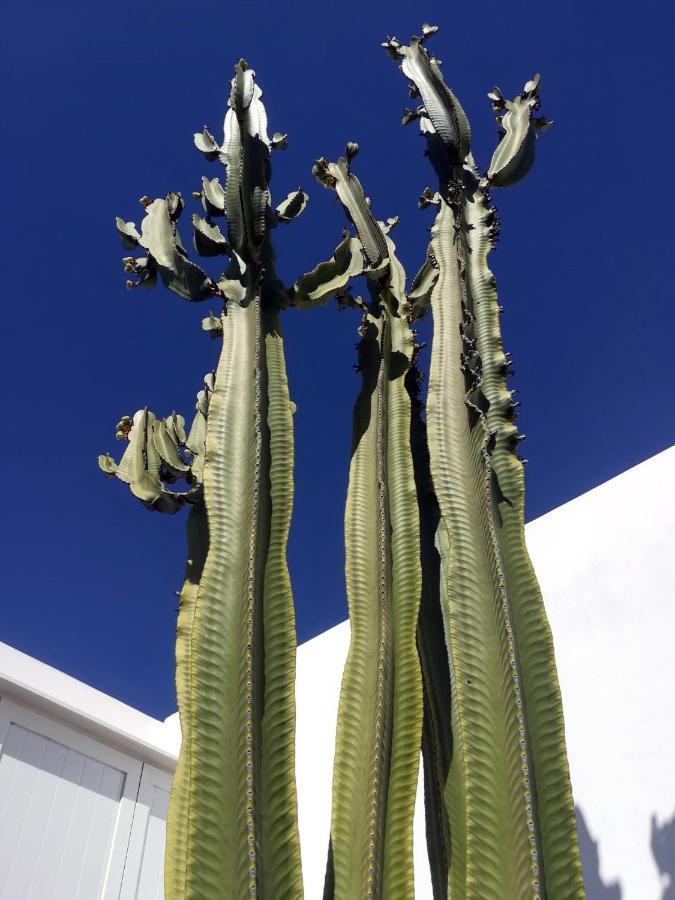 Casa Azmira Del Mar Villa Guatiza ภายนอก รูปภาพ